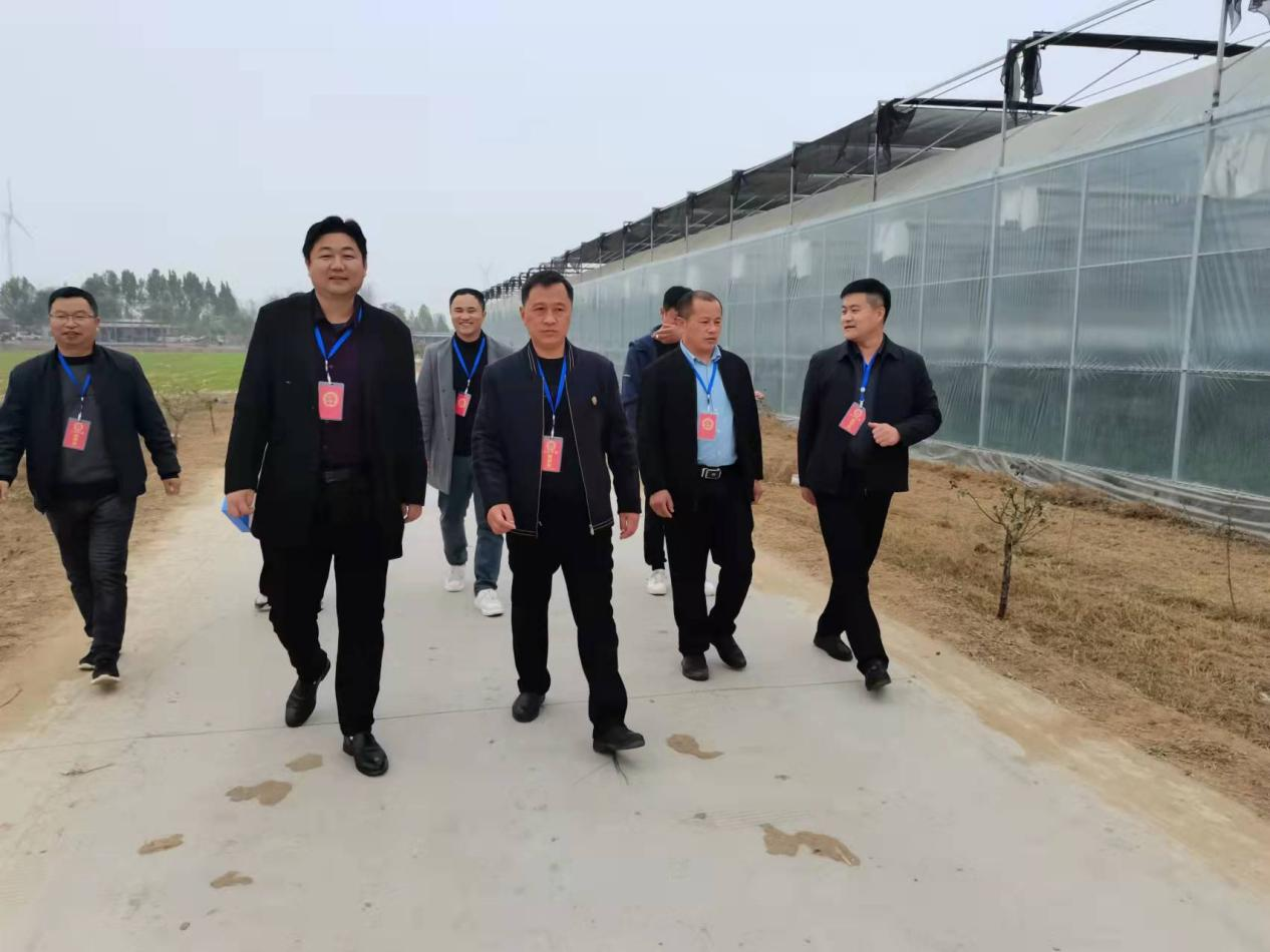 尉氏县大马乡人大全力以赴做好灾后重建视察工作(图1)